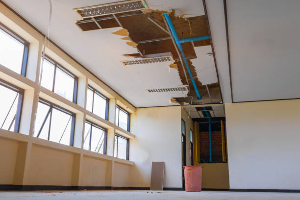 Best Residential water damage restoration  in Wauconda, IL