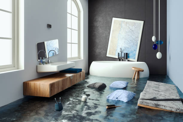 Best Flooded house restoration  in Wauconda, IL