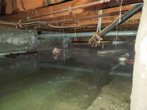 Best Commercial water damage restoration  in Wauconda, IL