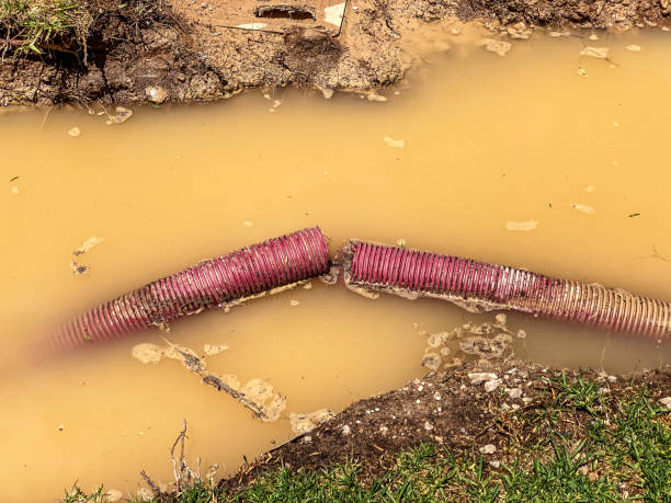 Best Water damage restoration mold remediation  in Wauconda, IL