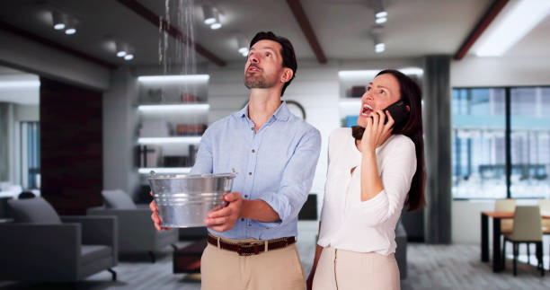 Best Water damage restoration company  in Wauconda, IL